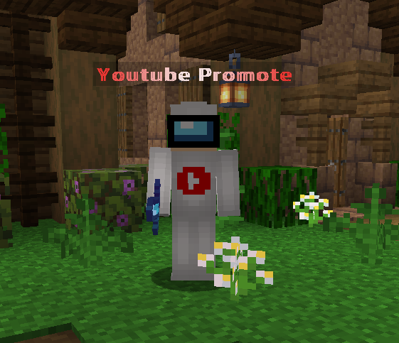 Youtube Promote